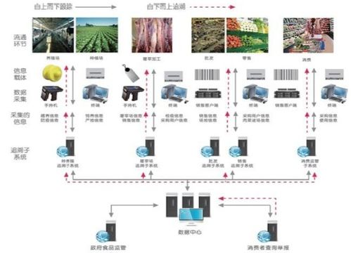 食品安全防伪追溯系统 一体化软件设计与开发解决方案
