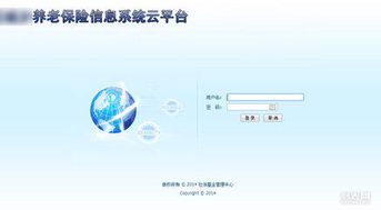 软件开发与软件定制 概念辨析与应用场景