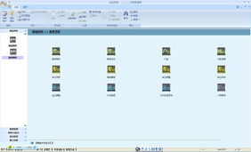 Access开发的软件欣赏 功能设计与应用场景解析